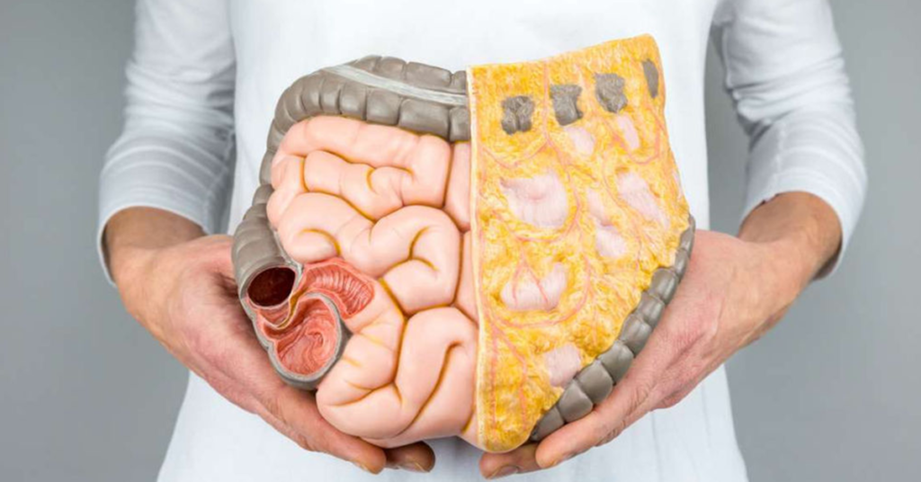 What is Colon Hydrotherapy and How Does it Work? What is Colon Hydrotherapy and How Does it Work?