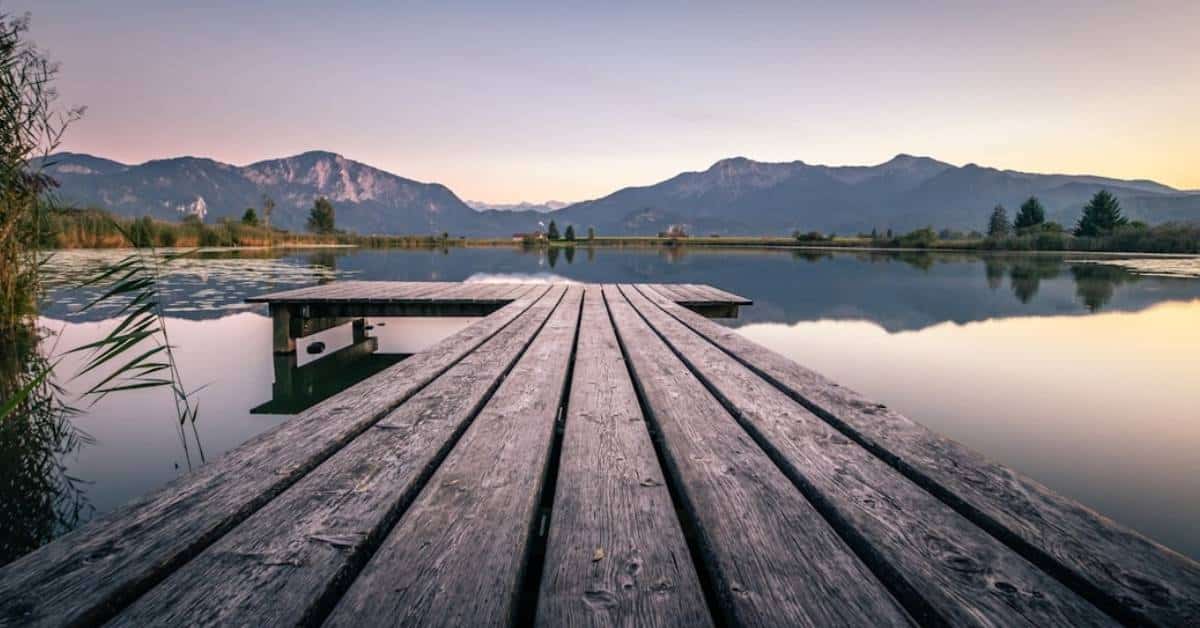 Energetic Detoxification: The Missing Piece in Your Wellness Journey