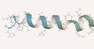 Peptides