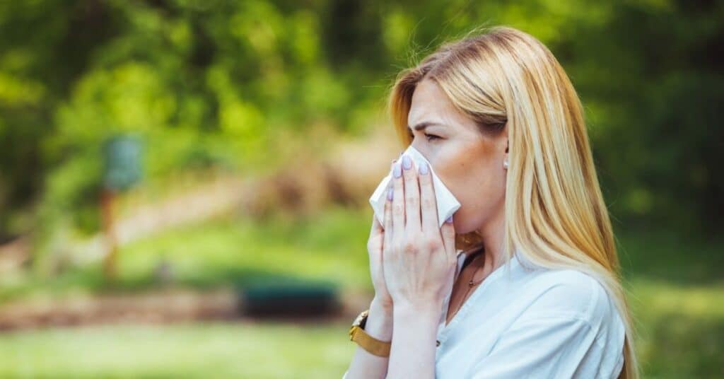 Seasonal-Allergies-Related-to-Your-Gut.jpg
