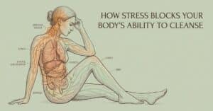 Why Stress Stalls Your Detoxification (and How to Fix It)