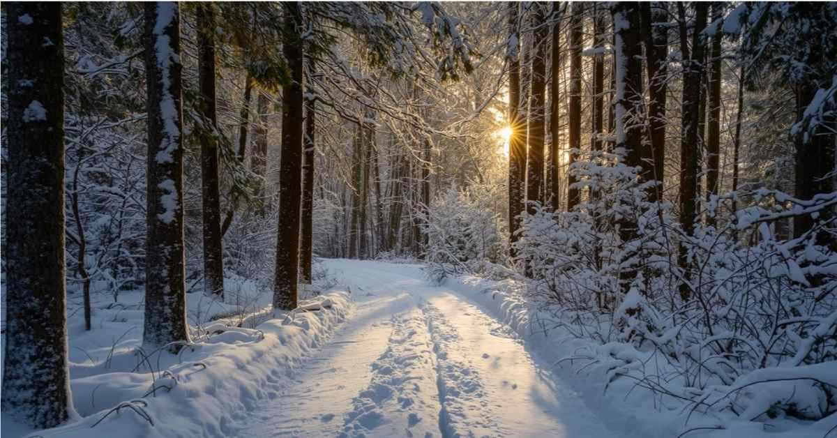 Beyond Resolutions: Aligning Your Health with the Seasons