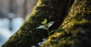 The Adrenal Drain: Why Modern Stress Keeps You Sick and Tired