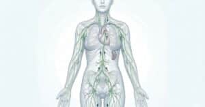 5 Ways to Keep your Lymph System Healthy at Home