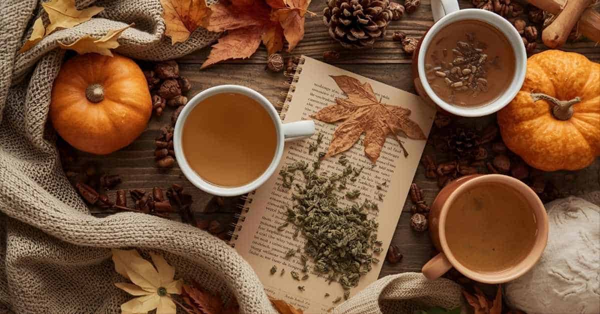 Fall Detoxification: Preparing Your Body for Winter