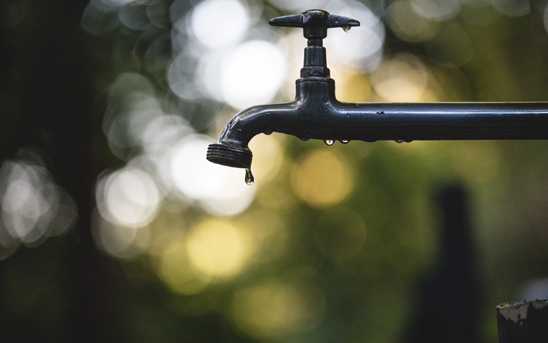 How to Heal a Leaky Gut