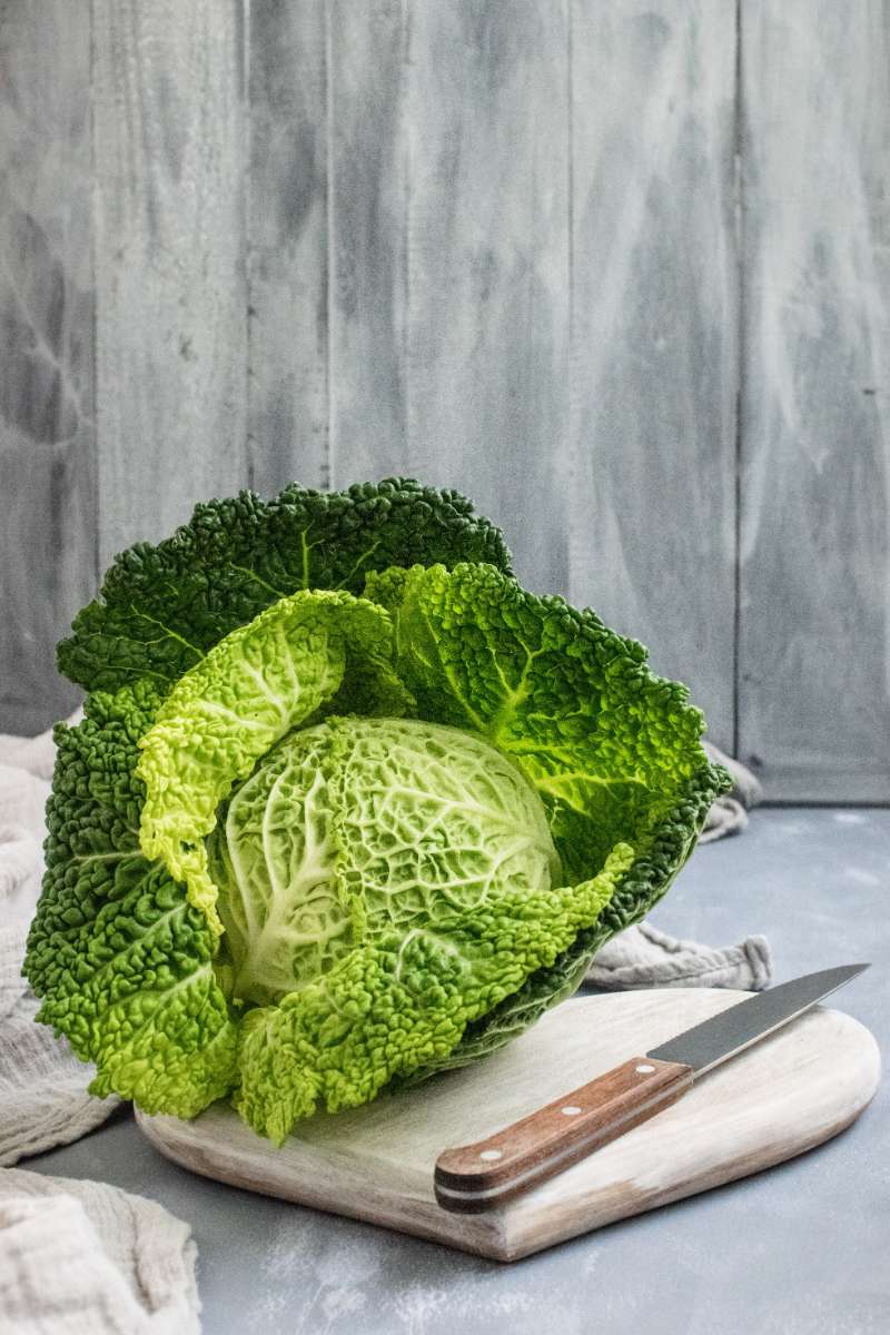 Improving Elimination for Weight Loss