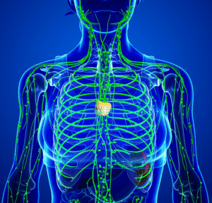 Lymphatic Drainage Therapy in Seattle and Olympia