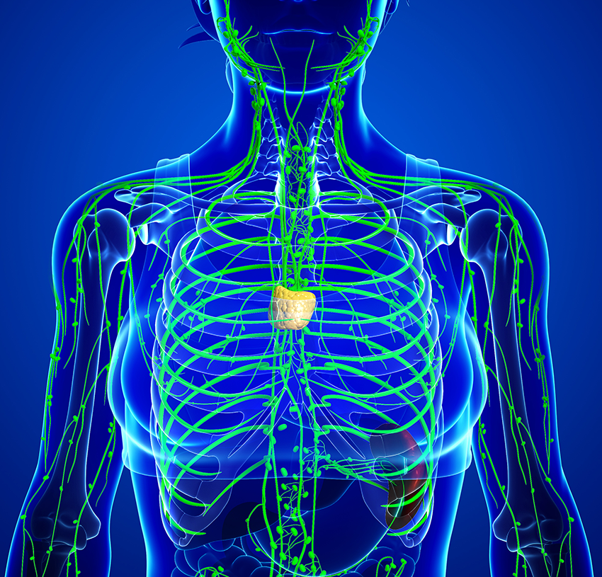 Lymphatic Drainage Therapy in Seattle and Olympia