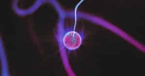 Electro-Lymphatic Therapy with a Naturopathic Doctor