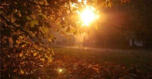 Test your vitamin D Levels during Winter