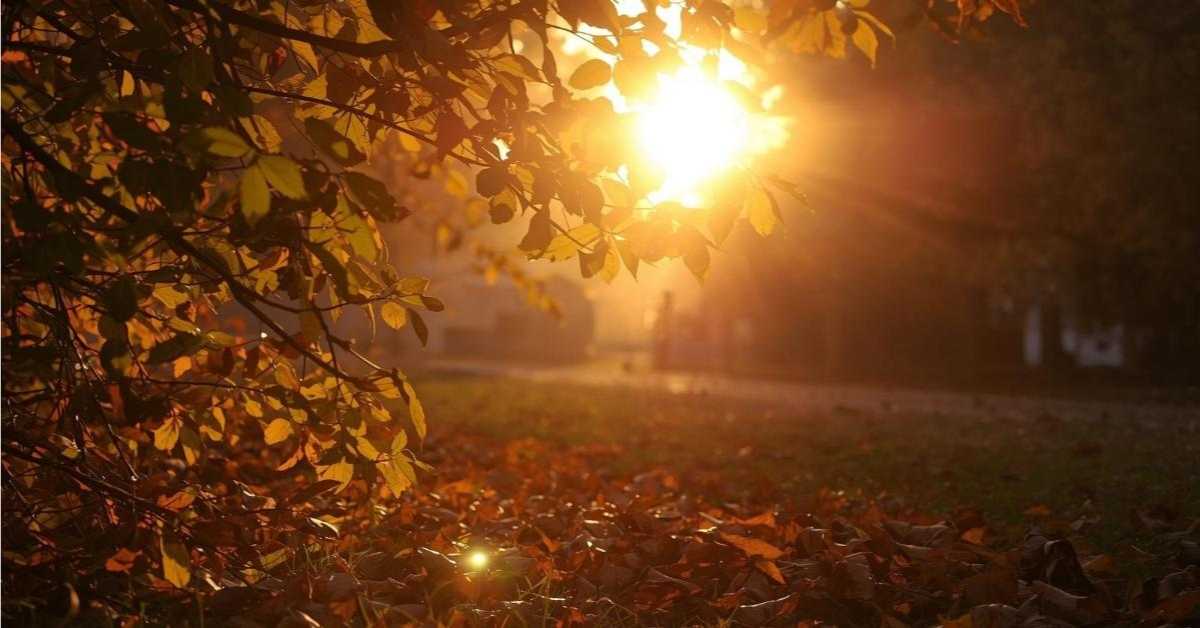 Test your vitamin D Levels during Winter