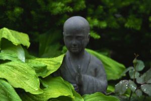 How bioidentical hormone therapy and diet change restored strength and vitality in a 55-year old woman.